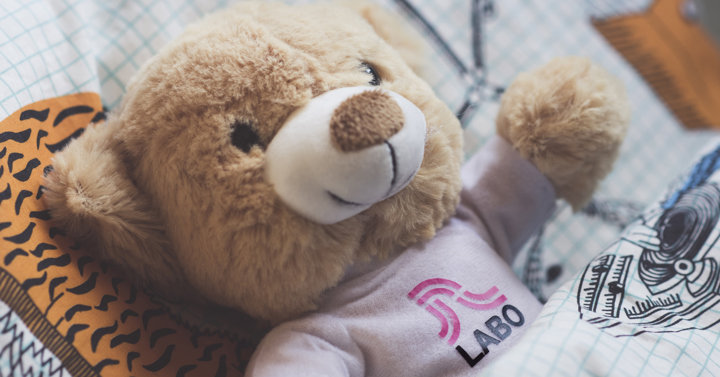 laboteddy_006.jpg