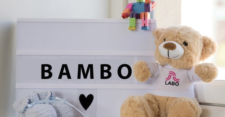 Laboteddy Bambo Txt