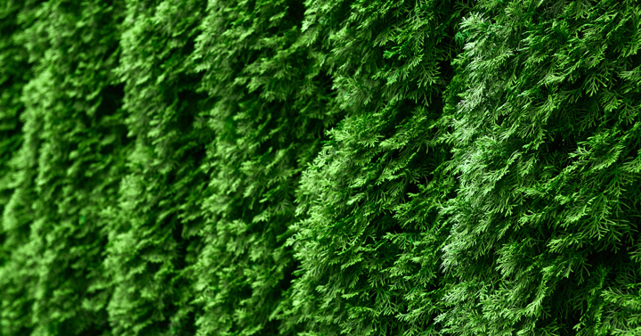 Adobestock 234506879
